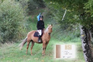 Cavalière avec s a jument et drapeau du Step 2 de HSI